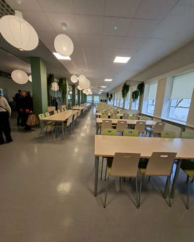 Koolisklate klastused